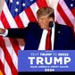 Tidligere præsident Donald Trump annoncerede tirsdag, at han endnu en gang vil stille op. (Photo by ALON SKUY / AFP)