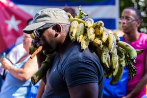 A man chomps on a cigar as he hauls a bunch of bananas after shopping at a street market in Havana, Cuba, Saturday, July 23, 2016. Foto: AP/Desmond Boylan