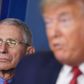 Anthony Fauci, mangeårig leder af det nationale institut for smitsomme sygdomme, er blevet den klare, rolige stemme, som mange amerikanere lytter til og stoler på. Foto: Win McNamee/AFP