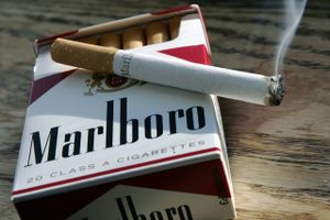 PFA har investeret i blandt andet Philip Morris, der står bag det kendte tobaksmærke, Marlboro. 