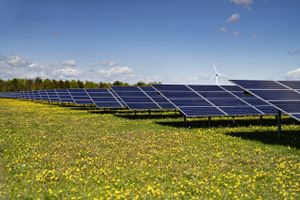 Arlas danske mejerier skal drives af solceller, som kommer til at dække et areal svarende til 400 fodboldbaner. Mejerikoncernen har indgået aftale om køb af grøn strøm fra fire store solcelleparker.