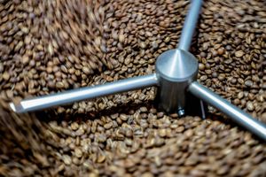 Med globale kaffepriser i bund sætter flere iværksættere ind på at udnytte de voksende profitmarginer. Men de lave priser kan have alvorlige konsekvenser for kaffeindustrien. 