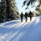 Beitostølen er placeret 900 meter over havet er dermed den højest beliggende - og mest snesikre - skidestination i Norge. Området er især kendt for sine langrendsløjper. Foto: Karin Møller-Olsen
