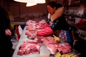Prisen på svinekød svinger voldsomt på historisk høje niveauer. Det øger risikoen for tab i store danske handelshuse som Nowaco og Tomex.