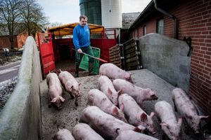 Formand for Landbrug & Fødevarer Martin Merrild er kritisk over for de samlede bidragsstigninger, som realkreditsektoren har pålagt landbruget. Realkredit Danmark er dyrest, og Nykredit er billigst.