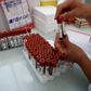Modernas vaccine bliver nu af markedet anset for at være et af de bedste bud på en vaccine, der kan sætte en stopper for coronapandemien, der på globalt plan har slået mere end 318.000 mennesker ihjel siden december. Arkivfoto: Benoit Tessier