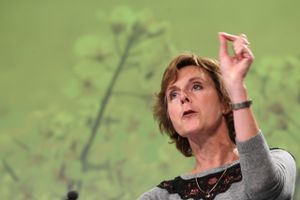 Kulturminister Marianne Jelved (R) har bedt fhv. EU-kommissær Connie Hedegaard lede tjek af public service.