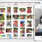 Apple har med iOS 8 indført en helt ny måde at organisere fotos på.