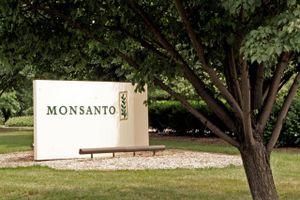 Sprøjtemiddelkoncernen Monsanto, der har kastet milliarder efter et nyt ukrudtsmiddel, retter skytset mod landmænd og staten Arkansas. 