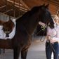 Grundlægger af Skagen Ure og nu tøjfirmaet Kastel Denmark, Charlotte Jorst, mener, at det at ride meget vel kan sammenlignes med det at have et firma og lede ansatte.