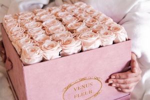 Kim Kardashian og andre Hollywoodstjerner er blandt kunderne hos Venus et Fleur - et selskab, der sælger kasser med eksklusive roser op til 2400 kr. Til gengæld kan roserne holde sig helt til næste års valentinsdag. 