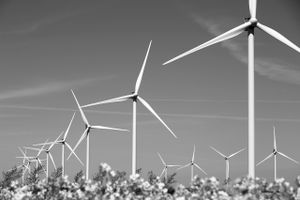 Nørhede-Hjortmose Vindkraft I/S. Vindmølle, vindmøller, energi, grøn omstilling, 2050, vedvarende energi, energiproduktion, vindenergi. Foto: Thomas Borberg