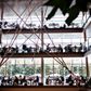 Danske iværksættere bør ifølge Dansk Iværksætterforening stræbe efter at blive en del af et acceleratorprogram.