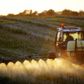 Landbrugspakken fra 2015 betød, at landmændene fik lov til at gøde mere. Til gengæld skulle de gennem miljømæssige tiltag som for eksempel etablering af vådområder og skovrejsning reducere udledningen af kvælstof. Arkivfoto: Thomas Borberg/Polfoto