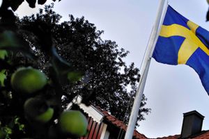 Sverige kan ifølge økonom se frem til flere store rentestigninger for at slippe af med inflationen.