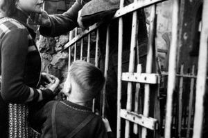 A German soldier, who was captured by the American forces, says farewell to his wife and son over the railing of a temporary prisoner cage before being sent off to a prison camp in Worms, Germany, in March 1945, during World War II. (AP Photo/Byron H. Rollins)