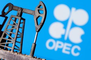 Opec og en halv snes andre lande har aftalt at sænke olieproduktionen med 9,7 mio. tdr. i maj og juni. Foto: Reuters/Dado Ruvic  