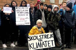 Klimakrisen tvinger os til at nytænke vores mødekultur. Er virtuelle møder vejen frem?