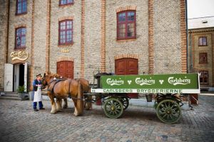 Carlsberg er placeret meget højt på listen over de mest ansete selskaber i verden. Den placering er noget helt nyt for Danmarks største bryggeri. Her ses bryggerheste ved Visit Carlsberg ved hovedkontoret i Valby. Foto: Carlsberg