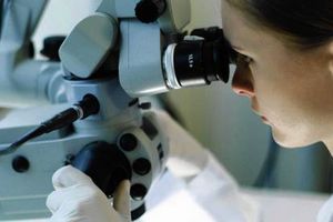 Det danske biotekselskab Oncology Venture har indgået partnerskaber med et dansk og tysk kræftforskningscenter, der skal sætte fart på indrulleringen af patienter til selskabets kliniske forsøg med lægemidler til behandling af kvinder med kræft.