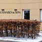 N. H. Hansen & Søn var den første af nu 20 virksomheder, der har betalt en bøde i byggekartelsagen. Nu har konkurrencemyndighederne offentliggjort samtlige entrepriser og virksomheder i sagen.