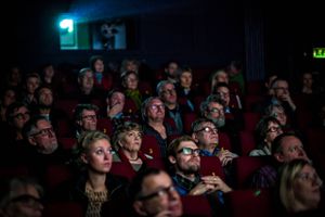 Hele verden roterer ikke om Netflix, fastslår formanden for Danske Biografer.