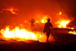En brandmand er i gang nær Clearlake, Californien. Omkring 200.000 har evakueret. Det store antal evakuerede skyldes, at ilden spreder sig med stor hast, men også uforudsigeligt som følge af en stærk, tør vind. Foto: Josh Edelson