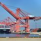 Lørdag begyndte losningen af et af de fire Hanjin-skibe, som har været i venteposition i den amerikanske havn Long Beach. Foto: Brittany Murray/AP