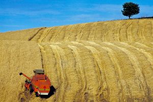 Danske landmænd vil omlægge yderligere 36.700 hektar til økologisk drift. Salget af økologiske varer i Danmark ventes at vokse med mere end 2 mia. kr. i år.