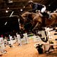Flere har gættet på en hestemesse som årsag til mange coronasmittede i Herning. Foto: Per Folkver