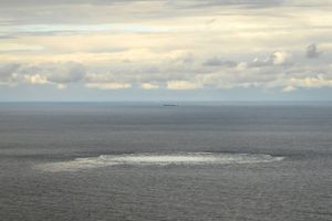 Nord Stream har indtil videre kun været i stand til at foretage undersøgelser i den svenske økonomiske zone.