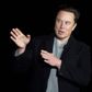 Elon Musk færdiggjorde i oktober sit køb af Twitter for et beløb svarende til omtrent 308 milliarder kroner. (Arkivfoto). - Foto: Jim Watson/Ritzau Scanpix