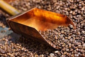 Kaffeproduktion i Afrika bliver inden for de næste fem år fordoblet. Uganda vil firedoble sin nuværende produktion. 