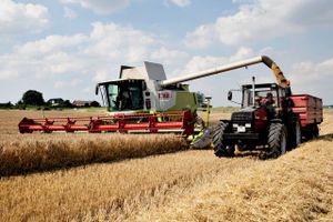 Landmændene går ind i 2017 med rekordhøje positive forventninger til indtjeningen. Erhvervets egne økonomer vurderer, at landmændene har set rigtigt: Det bliver et godt år.