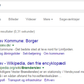 Screenshot fra Google
