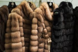 Birger Christensen A/S satser på at øge salget af de dyre pelse i Asien.