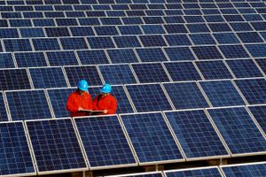 Solpaneler er faldet så kraftigt i pris, at intet kan konkurrence med solenergi, når det gælder produktionen af elektricitet. Foto: AP