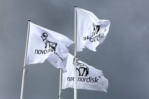 Mandagens kursfald på Novo-aktien var overraskende.