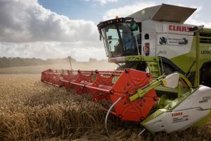 De danske landmænd har i 2022 solgt deres høst af korn til de højeste priser nogensinde. Alene høsten af hvede og byg har været mere end 17 mia. kr. værd.