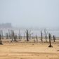 Klimaforandringer og den værste tørke i over 110 år, den voksende befolkning og den dårlige infrastruktur er alle medvirkende årsager til krisen i og omkring den sydafrikanske millionby. Foto: AP