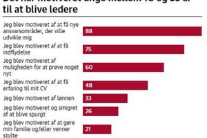 Succes er for den yngre generation defineret af flere facetter, der afspejler det hele menneske på tværs af det professionelle og personlige liv, lyder det på baggrund af ny undersøgelse.