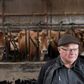 Landmand Holger Hedelund Poulsen har gjort sin produktion af mælk mindre klimabelastende. Han advarer om, at mælken fra mange andre lande belaster klimaet mere. Foto: Mads Frost