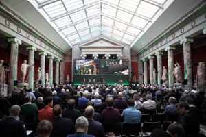 Hver femte aktionærstemmer uafhængig af Carlsbergfondet stemte for mere åbenhed om menneskerettigheder ved Carlsbergs generalforsamling. Trods en afvisning af forslaget er stillerne tilfredse. 