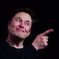 Elon Musk har fyret en række direktører siden sin overtagelse af det sociale medie Twitter. Foto:Frederic J. BROWN / AFP