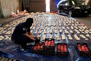 Fundet af millioner af amfetaminpiller i et læs granatæbler har fået Saudi-Arabien til at indføre et importforbud på alle libanesiske landbrugsvarer. Det er en katastrofe for Libanon.