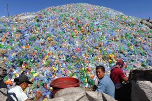 Affaldsselskaberne ønsker ikke at brænde genbrugsegnede plastflasker af og foreslår, at der indføres en pantordning.
