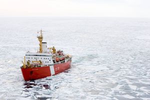 Fem prøver af brændstof taget fra skibe i de nordiske ECA-zoner har højere svovlværdier, end det er tilladt. De pågældende skibes ejere kan vente sig en bøde fra de danske myndigheder.