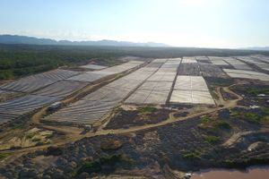 European Energy er ved at bygge solparken Coremas i Brasilien. Den får en effekt på 93 megawatt, når den står færdig. Parken er blevet til i samarbejde med en brasiliansk professor, der ledte efter en partner til at føre projektet ud i livet. Foto: European Energy