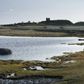 Danmark er i front, når det gælder bekæmpelsen af klimaforandringerne, men biodiversiteten er straks en anden sag. Foto: Morten Langkilde