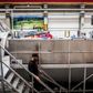 Den danske industriproduktion har været ramt af afmatning i bl.a. Tyskland samt af krisen mellem Ukraine og Rusland.